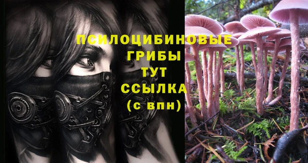 стафф Беломорск